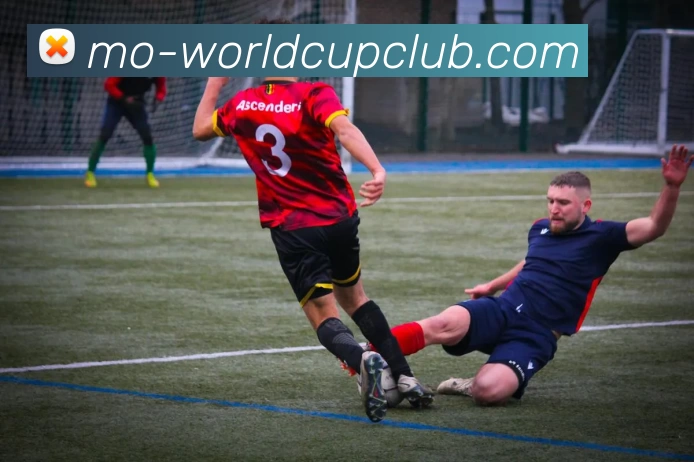 世俱杯体育投注平台生态图